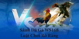Hướng Dẫn Cách Chơi Đá Gà WS168 Tại MU88 Dễ Thắng Cho Tân Thủ